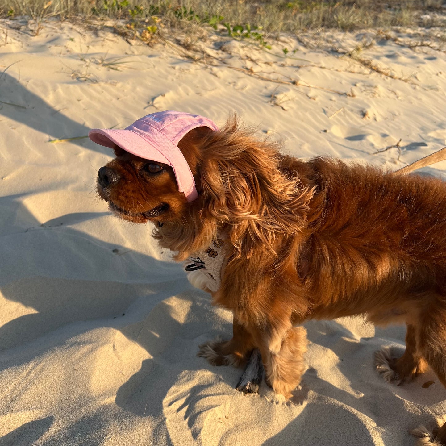 Dog Hat - Blush