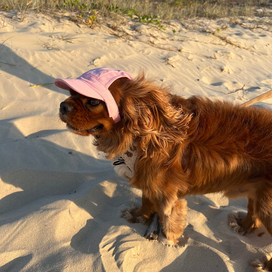 Dog Hat - Blush