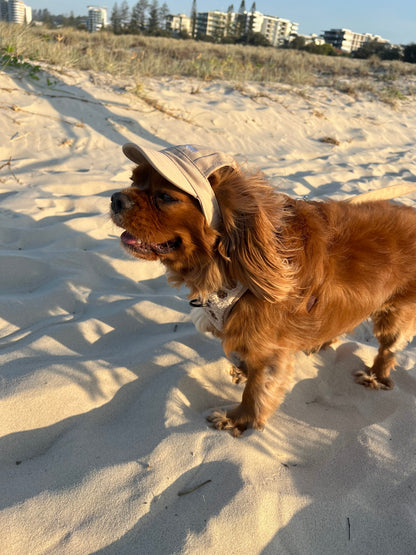Dog Hat - Sand