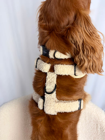 Teddy Embroidery Harness