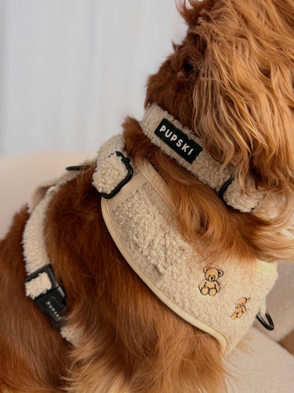 Teddy Collar