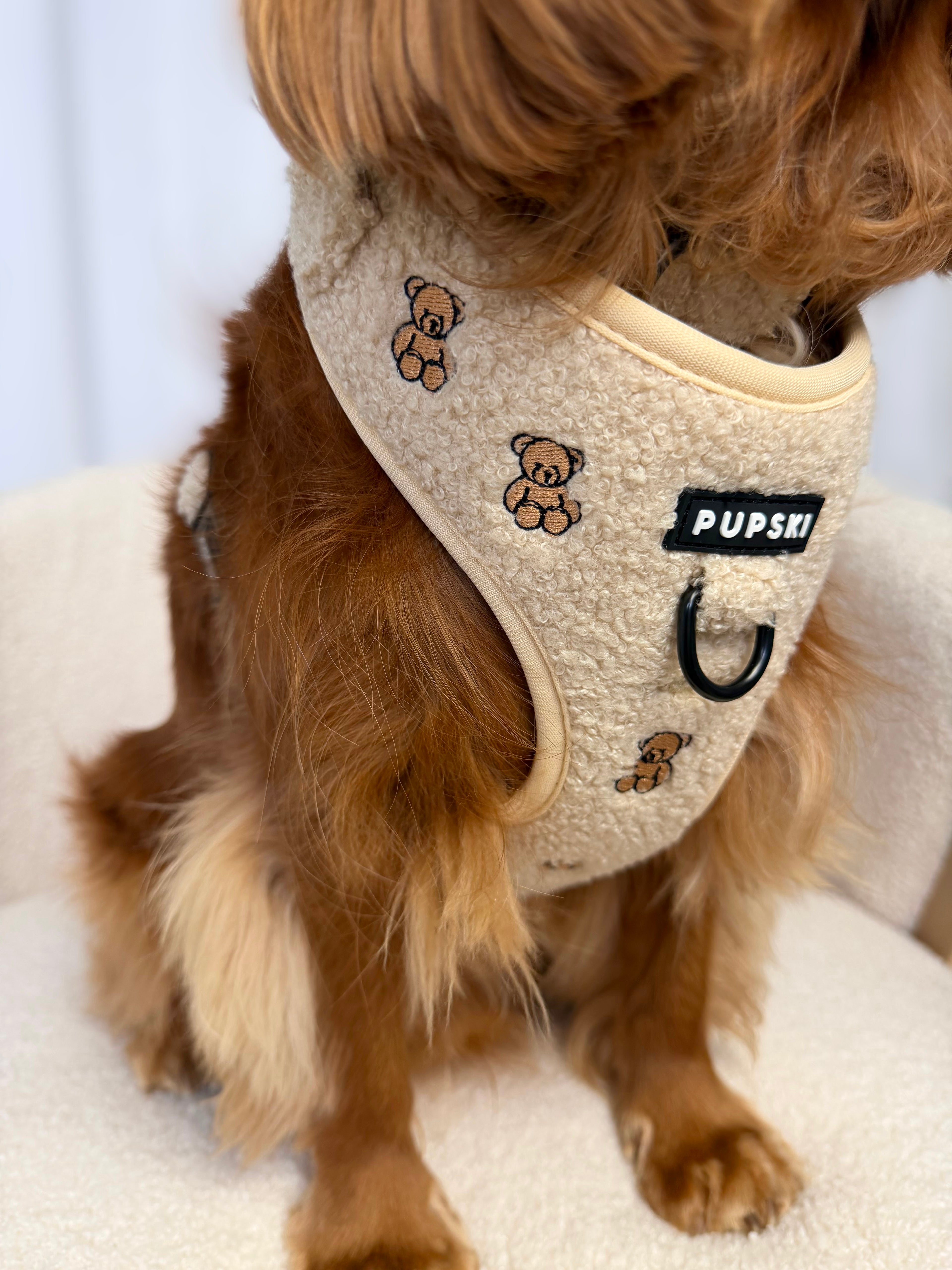 Teddy Embroidery Dog Harness