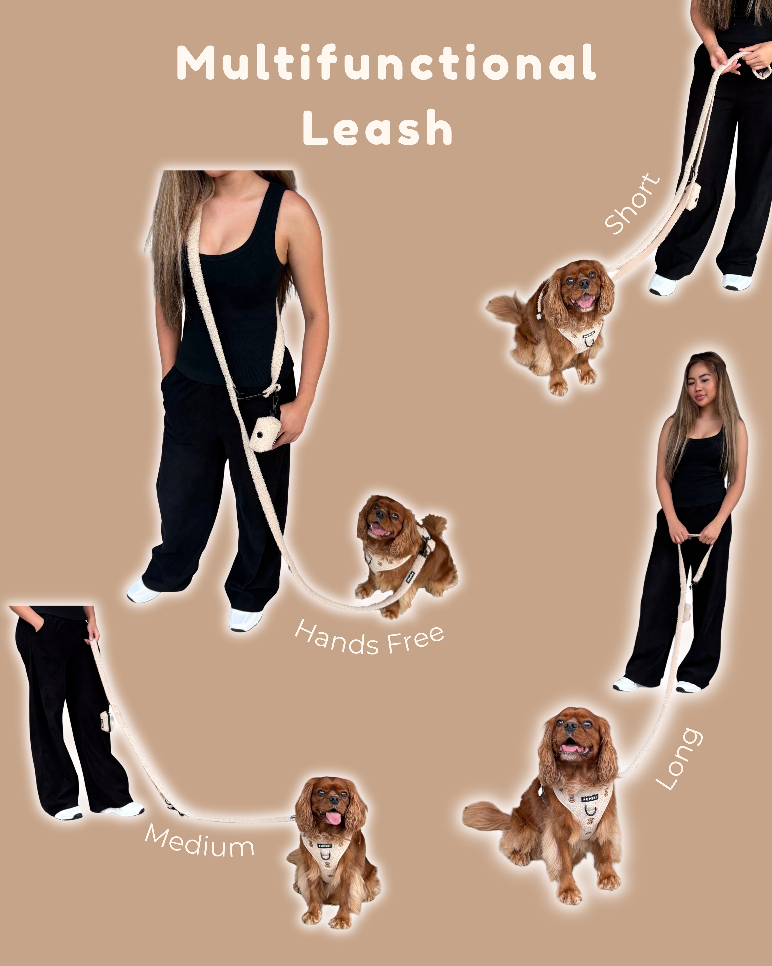 Teddy Hands-Free Leash