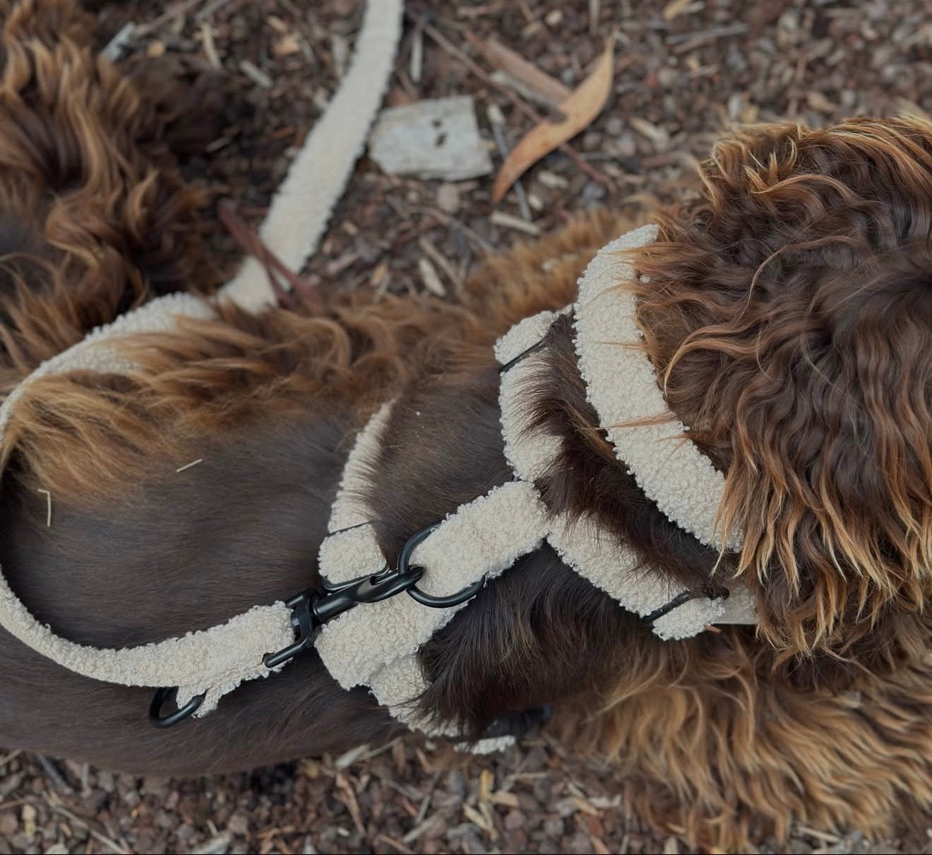 Teddy Embroidery Harness
