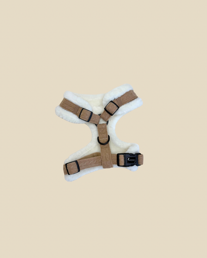 Cozy Hands Free Leash Bundle