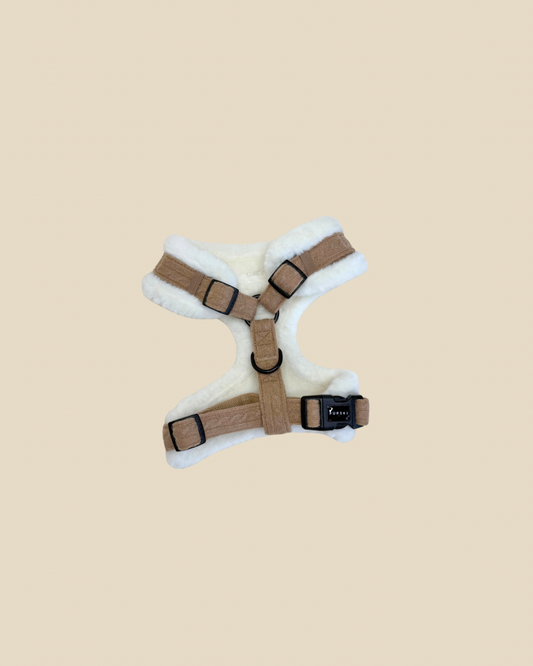 Cozy Hands Free Leash Bundle